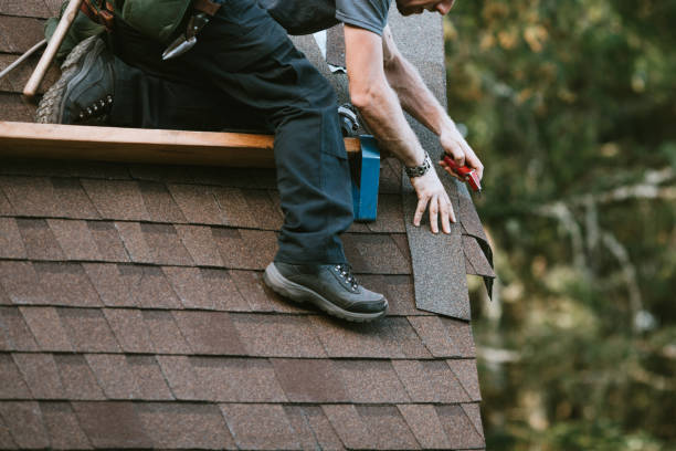 Professional Roofing Contractor in Bayboro, NC